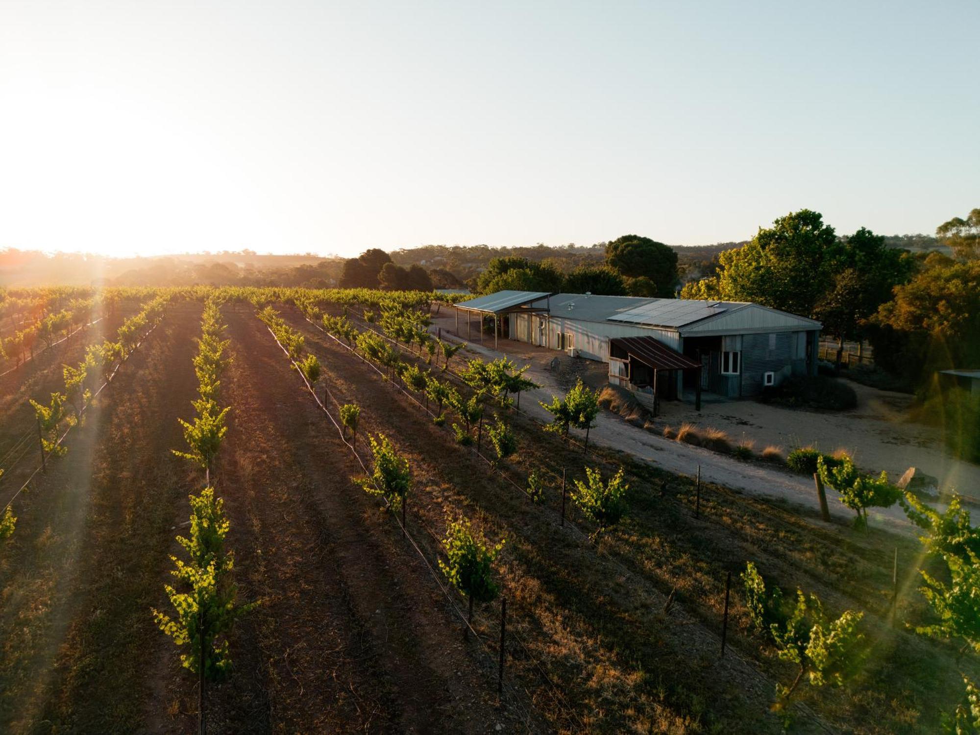 Bed In A Shed Vineyard Stay Watervale Exterior foto