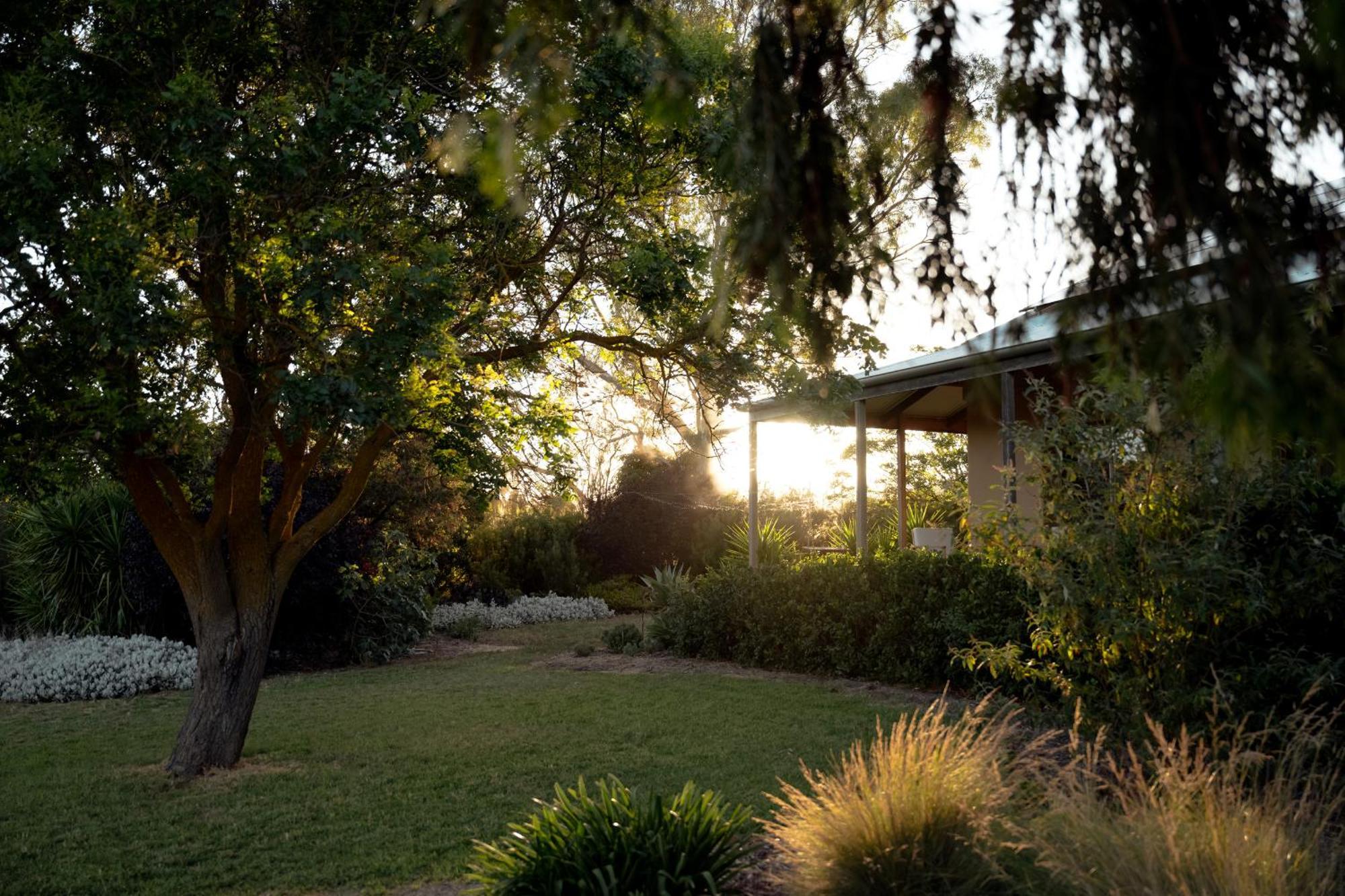 Bed In A Shed Vineyard Stay Watervale Exterior foto
